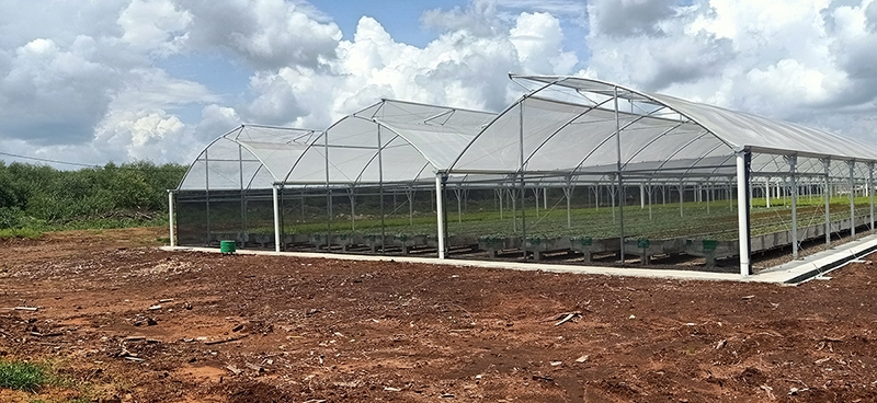 MASSGRO Greenhouse : ES greenhouse