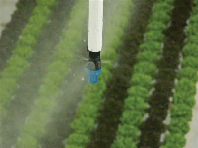 naandan-superfogger-misting-persemaian-rooting-greenhouse