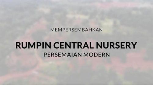 rumpin massgro nursery