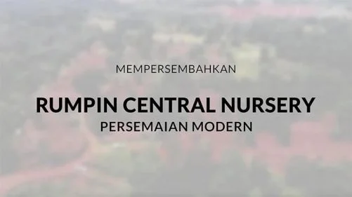 rumpin massgro nursery